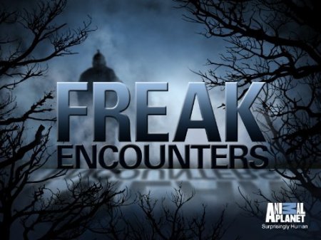 Встречи с неведомым / Freak Encounters ( 1 сезон)